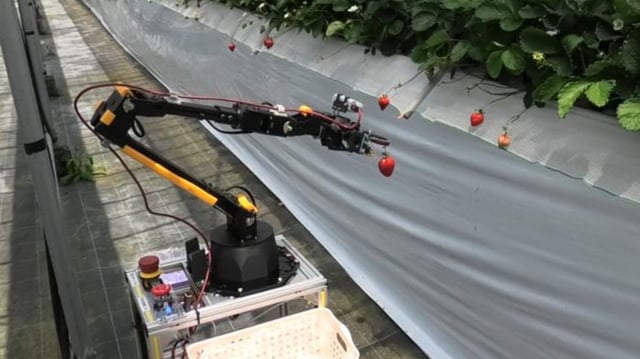 A farm robot using lidar shows it can harvest strawberries from a high-bed cultivation field.