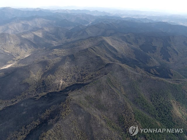 Mountains in Andong, some 190 kilometers southeast of Seoul, are seen charred after firefighters put out the major wildfires, in this March 30, 2025, file photo. (Yonhap)