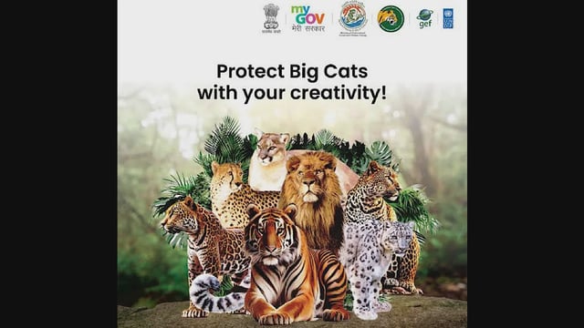 India and the International Big Cat Alliance (photo:United Nations)