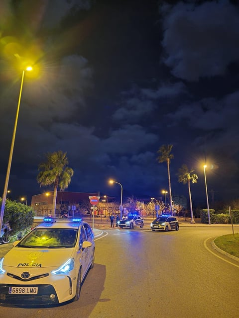La Guardia Civil ha llevado a cabo la investigación con la Policía Local de Alcúdia.
