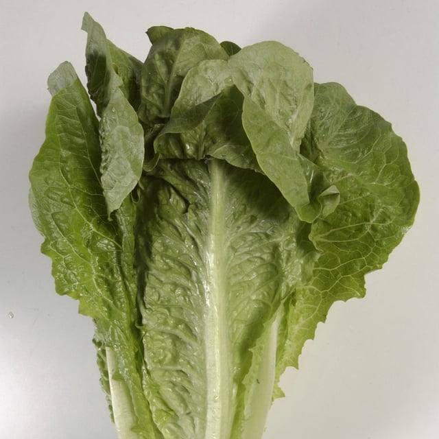 The E. coli outbreak was traced to romaine lettuce, but no brands were named.