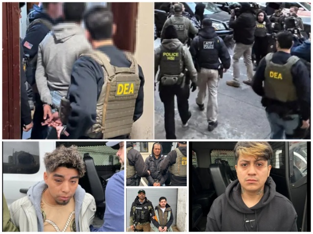 ICE Raids in NYC Land 206 Criminal Aliens in Jail (U.S. Immigration and Customs Enforcement)