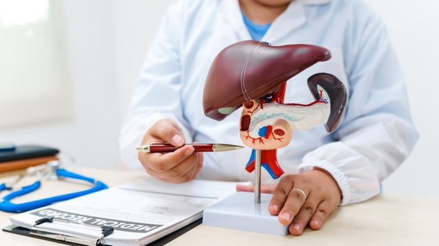 Liver is a vital organ in your body.