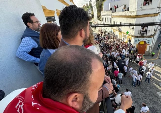 Suelta de toros este sábado en la localidad gaditana de Arcos de la Frontera