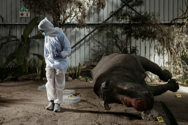 The Wildlife Forensic Academy is set inside a warehouse in a private game reserve