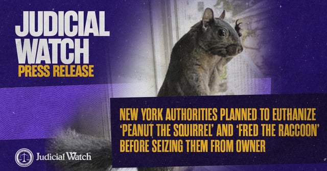 peanut pr