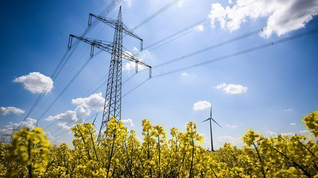 Hochspannungsleitung stehen hinter einem Rapsfeld im Landkreis Peine