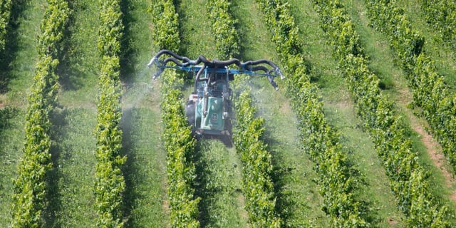 L’usage des pesticides en grande quantité dans les vignes est fortement soupçonné d’être la cause de cette présence du TFA en grande quantité dans les bouteilles.