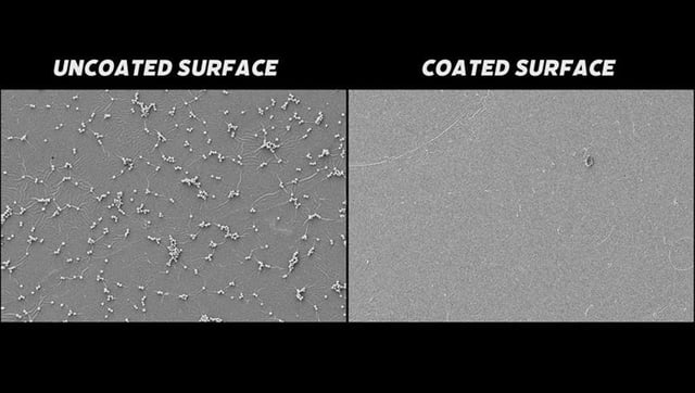 Bug-Busting Antimicrobial Paint Can Make Surfaces Pathogen-Proof – From Staph to E. coli
