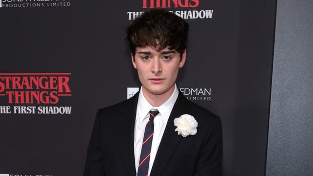NEW YORK, NEW YORK - APRIL 22: Noah Schnapp attends the Stranger Things: The First Shadow Broadway Opening Night at Nederlander Theatre on April 22, 2025 in New York City. Mike Coppola/Getty Images/AFP (Photo by Mike Coppola / GETTY IMAGES NORTH AMERICA / Getty Images via AFP)