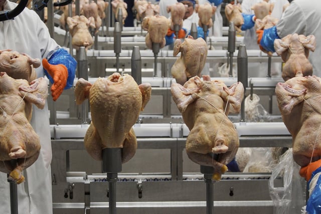 FILE - Workers process chickens at a poultry plant in Fremont, Neb., on Dec. 12, 2019. (AP Photo/Nati Harnik, File)