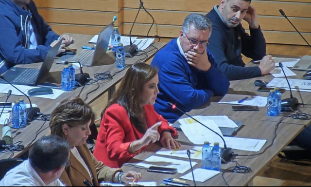 La portavoz del PP, Ana Alonso, ayer durante su intervención en el pleno de los presupuestos.