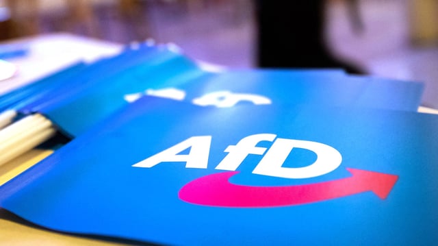 Fähnchen mit dem Logo der AfD liegen auf einem Tisch.
