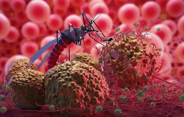 malaria