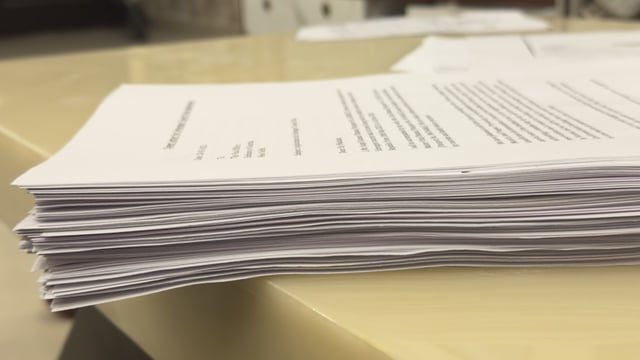 An Indian CEO shares a picture of his Schengen visa application documents