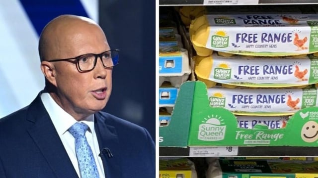 Peter Dutton got the price of a dozen eggs wrong when asked during the Final Showdown leaders' debate on Seven on Sunday night. NewsWire