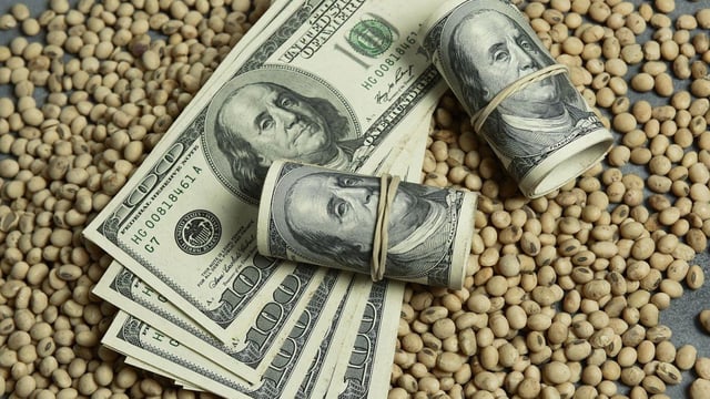 El agro y el Ejecutivo tensan por las divisas extranjeras.