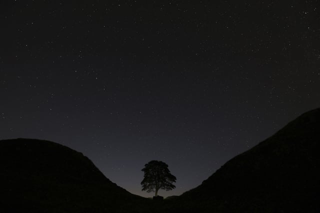 FILE - A general view of the stars above Sycamore Gap, prior to the Perseid Meteor Shower above Hadrian's Wall near Bardon Mill, England, Thursday, Aug. 13, 2015.(AP Photo/Scott Heppell, File)