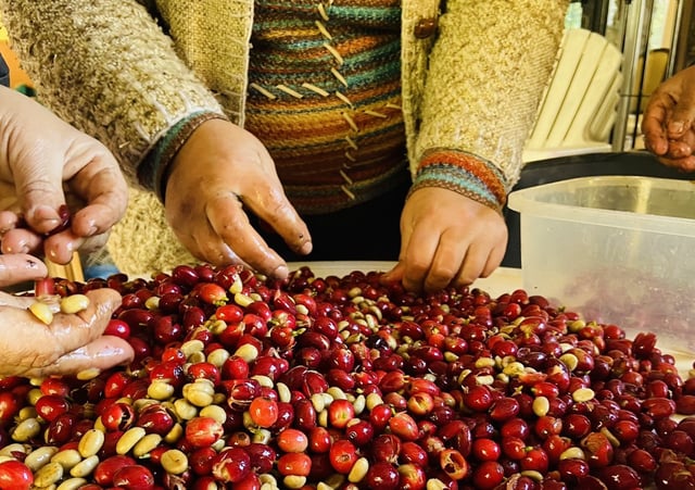 La industria cafetera se desarrolla en la Argentina