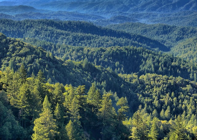 Two men were found dead last month in a pickup about 3 miles from Castle Rock State Park in the Santa Cruz Mountains. 