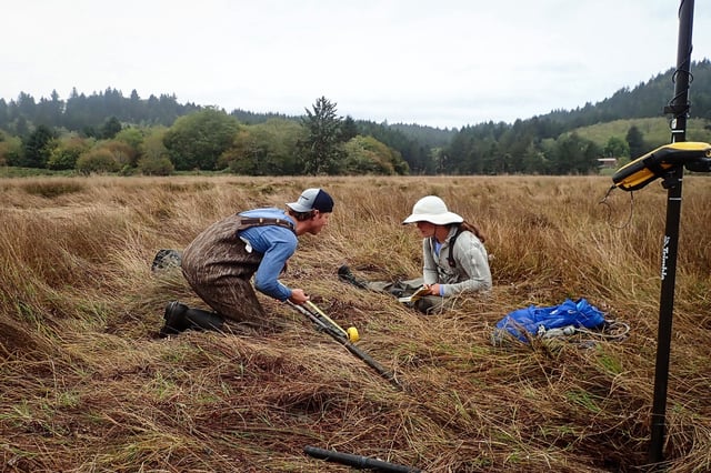 Researchers conduct shallow sediment sampling in the Salmon River estuary in Oregon on Oct. 14, 2023. They are using gouge corers and GPS surveying equipment to document stratigraphy and land-level changes following past earthquakes and tsunamis.