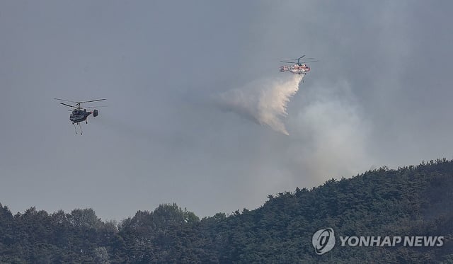 Helicopters dump water on a mountain in Daegu, some 230 kilometers southeast of Seoul, as a wildfire continues for a second day on April 29, 2025. (Yonhap)