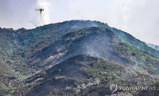 Helicopters dump water on a mountain in Daegu, some 230 kilometers southeast of Seoul, as wildfire continues for a second day on April 29, 2025. (Yonhap)
