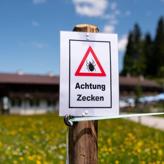 Zeckengefahr steigt mit Frühlingstemperaturen