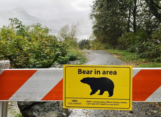 A sign warning of a bear in the area is shown in Squamish, B.C. on Friday, Nov. 4, 2022. THE CANADIAN PRESS/Amy Smart