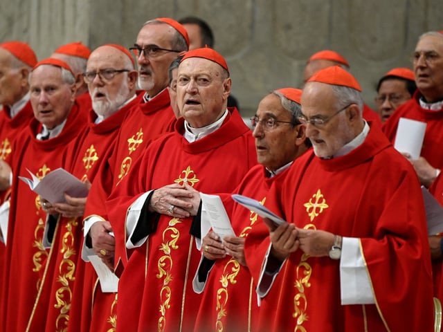 Vatican City (Vatican City State (Holy See)), 29/04/2025.- Cardinals attend the Fourth Novendali Mass in memory of Pope Francis in Saint Peter's Basilica, Vatican City, 29 April 2025. (Papa) EFE/EPA/RICCARDO ANTIMIANI