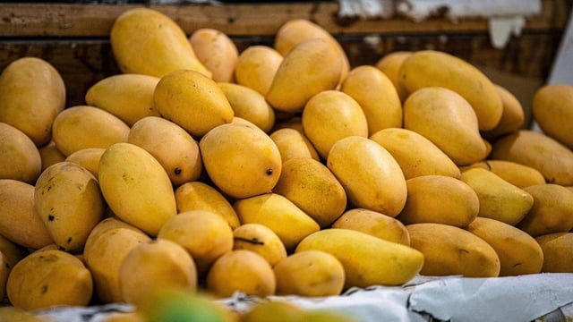 Mangoes take centre stage on Akshaya Tritiya 2025 