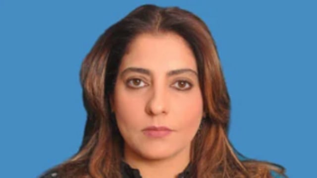 Pakistani senator Palwasha Mohammad Zai Khan claimed that the Pakistani army would lay the first brick at a new Babri mosque in Ayodhya, amid tensions between India and Paksistan.