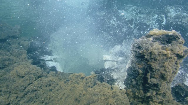 Microbes and their waste material stream from this “snowblower” vent on Axial Seamount three months after its eruption in 2011