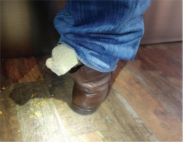The birds were wrapped in pantyhose and stuffed into boots. (Courtesy U.S. Attorney’s Office/TNS/TNS)