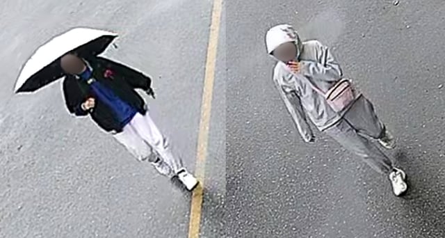 Do you know these people? Richmond RCMP say they may have witnessed an attempted kidnapping, and police want to talk to them.