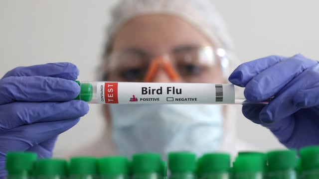 H5N1 scare increasing again in 2025? 