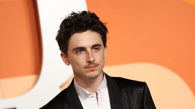 Timothee Chalamet will receive an honorary David award for cinematic excellence at this year's ceremony in Rome