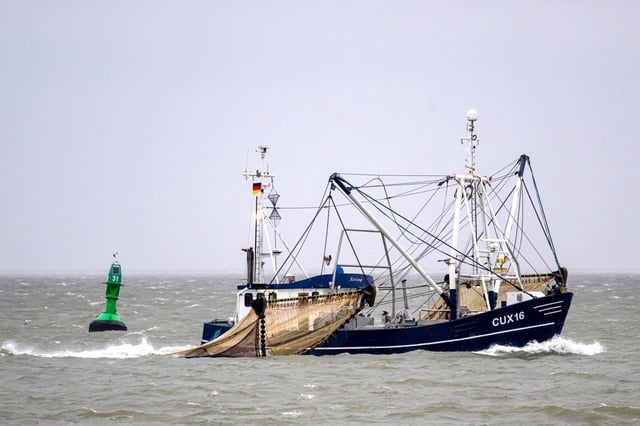 Die Lager sind leer, doch die Krabbenfischer, hier vor Cuxhaven, können nicht ausreichend nachliefern