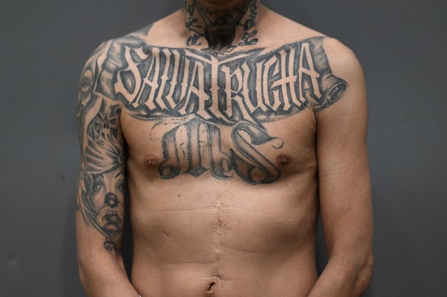 Stock photograph showing a Mara Salvatrucha (MS-13) gang member sentenced to more than 200 years in prison shows off his tattoos alluding to his gang inside the Counter-Terrorism Confinement Centre (CECOT) mega-prison, where hundreds of members of the MS-13 and 18 Street gangs are being held, in Tecoluca, El Salvador on January 27, 2025. There is no suggestion the individual pictured was involved in Friday&#39;s attack.