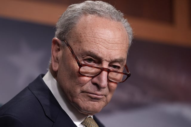 Senate Minority Leader Chuck Schumer (D-N.Y.)(AP Photo/J. Scott Applewhite)