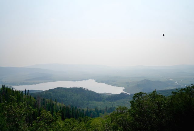 A bird flies through thick wildfire smoke that collects above Lake Catamount in Steamboat Springs, Colorado on Monday, July 22, 2024. (Photo by Zachary Spindler-Krage/The Denver Post)