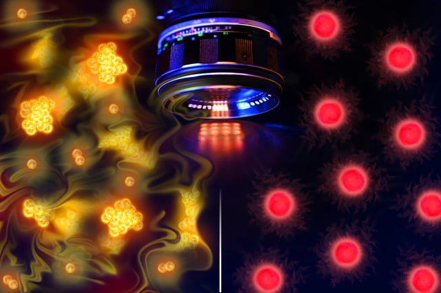 Using single-atom-resolved microscopy, ultracold quantum gases composed of two types of atoms reveal distinctly different spatial correlations — the bosons on the left exhibit bunching, while the fermions on the right display anti-bunching.