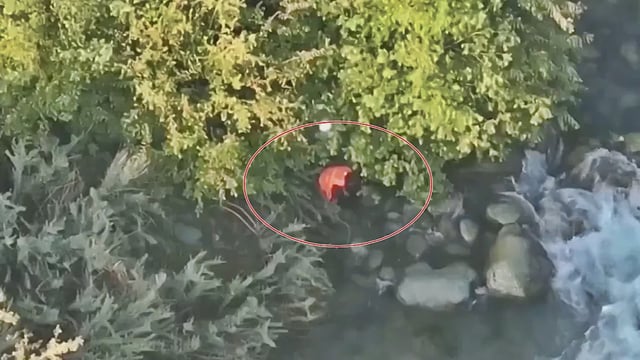 Kulgam man jumps into river, drowns; video surfaces as NC, PDP leaders cry foul. (photo: Social Media grab)