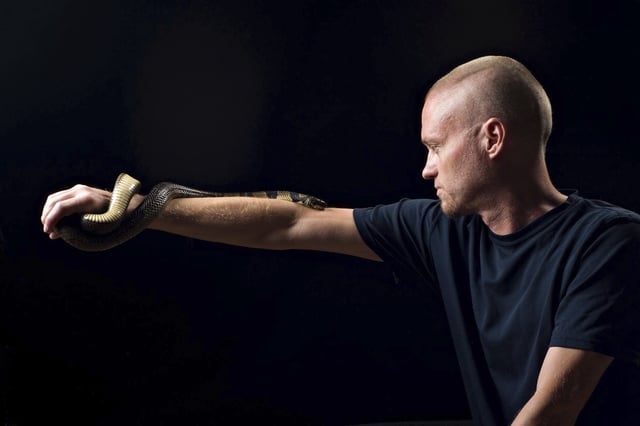 This undated photo provided by Centivax in 2025 shows Tim Friede, who is hyper-immune to the venom of various snakes, with a water cobra wrapped around his arm. 