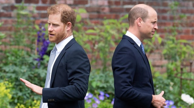 Prince Harry and Prince William made a rare joint appearance to unveil a statue of their mother in 2021