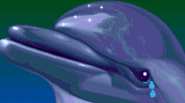 Ecco the dolphin crying