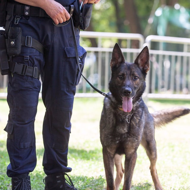 Bei Gefangenentransport in Bayern: Abschiebehäftling geflüchtet - Polizei fahndet bundesweit