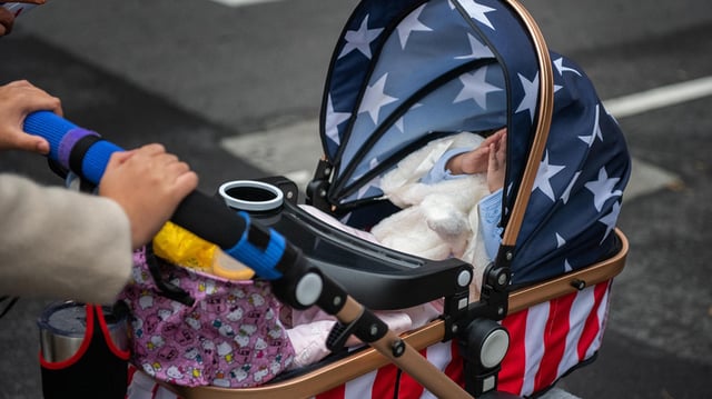 A person pushes a baby carriage
