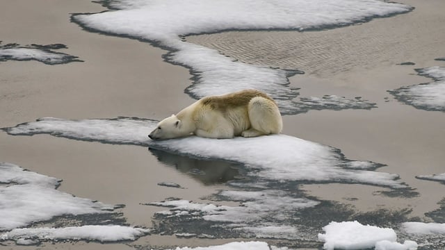 Field trials to thicken ice in the Arctic are due to begin in Canada this year