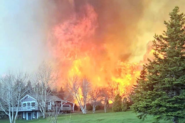 Flames rise from a wildfire near Adam's Cove.